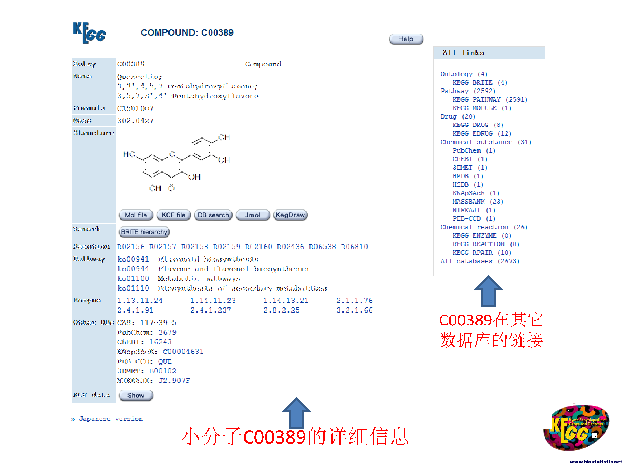 KEGG简介_页面_35.png